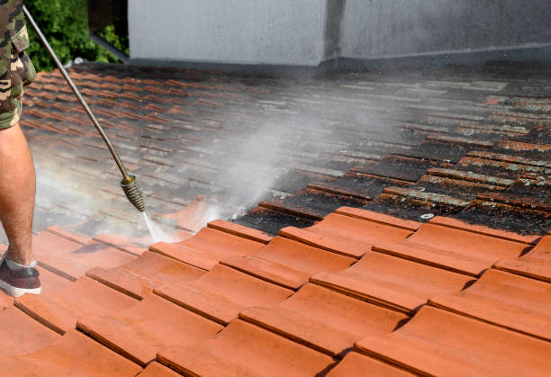 Best Local Pressure Washing Services  in Hudsonville, MI